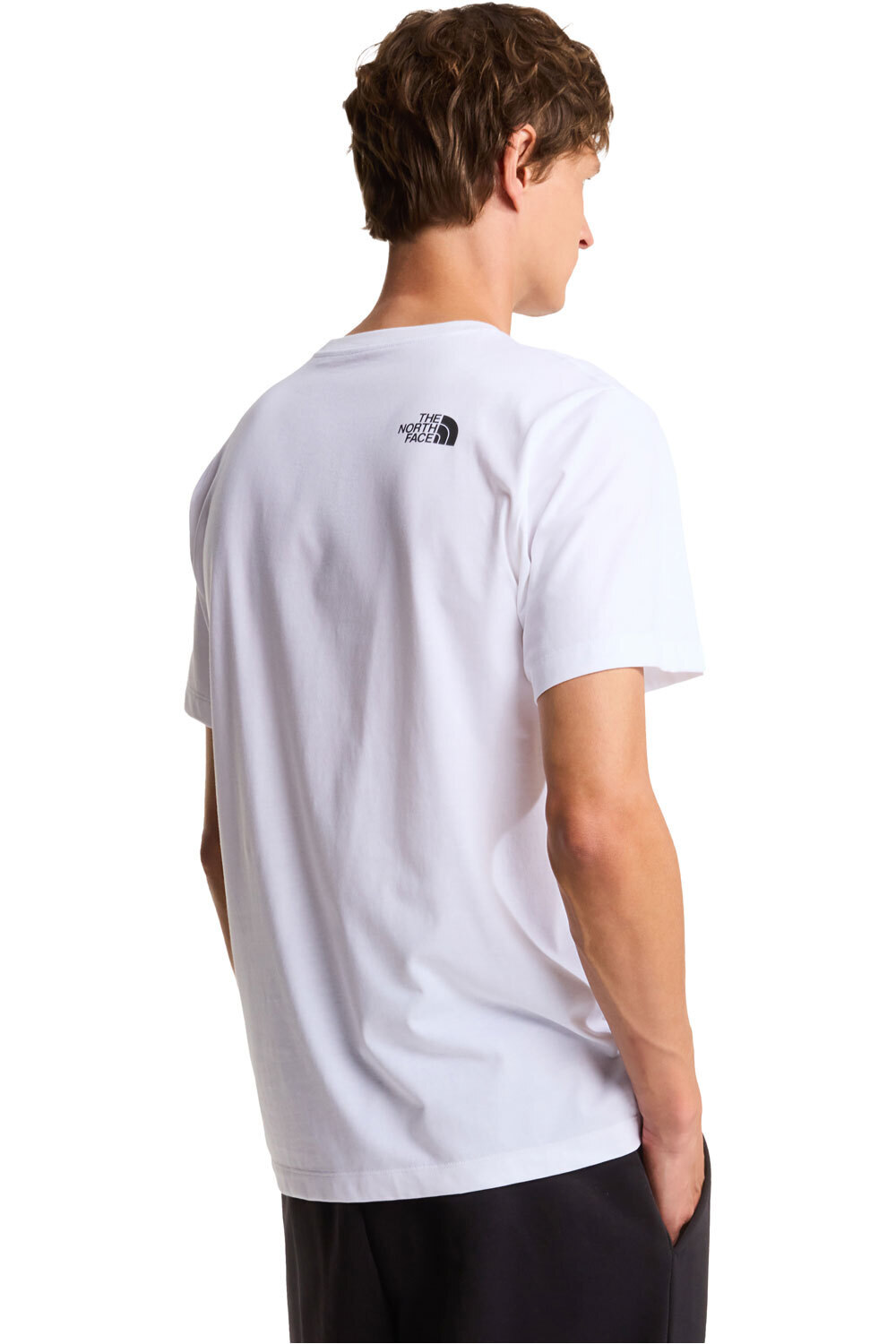 The North Face camiseta manga corta hombre EVOLUTION BOX HALF DOME BLANCO vista trasera