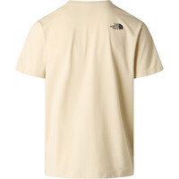 The North Face camiseta manga corta hombre EVOLUTION BOX HALF DOME MARRON 03