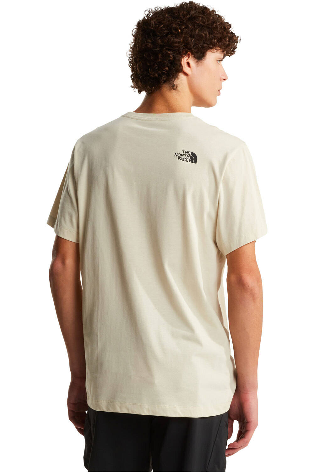 The North Face camiseta manga corta hombre EVOLUTION BOX HALF DOME MARRON vista trasera