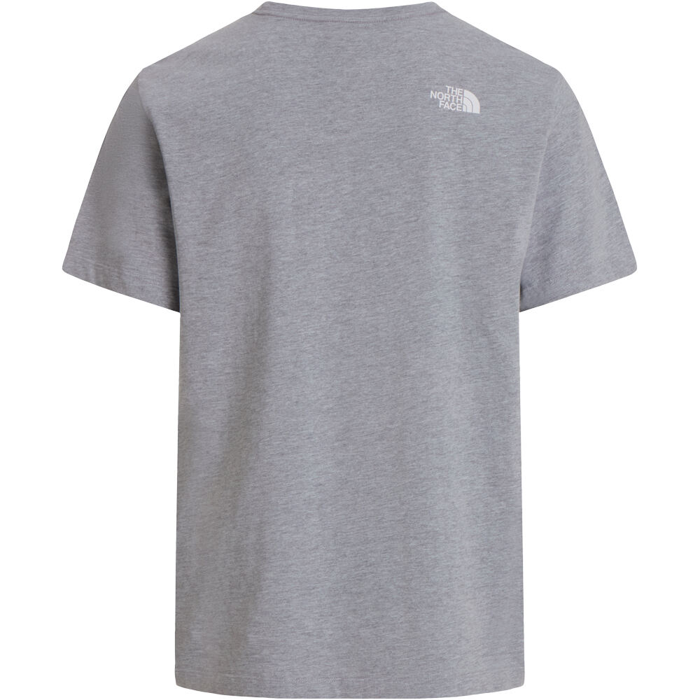 The North Face camiseta manga corta hombre EVOLUTION HALF DOME GRIS 04