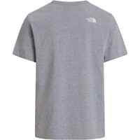 The North Face camiseta manga corta hombre EVOLUTION HALF DOME GRIS 04