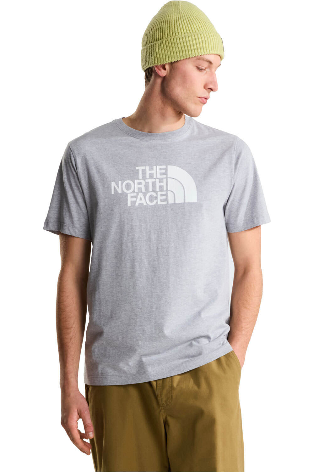 The North Face camiseta manga corta hombre EVOLUTION HALF DOME GRIS vista frontal