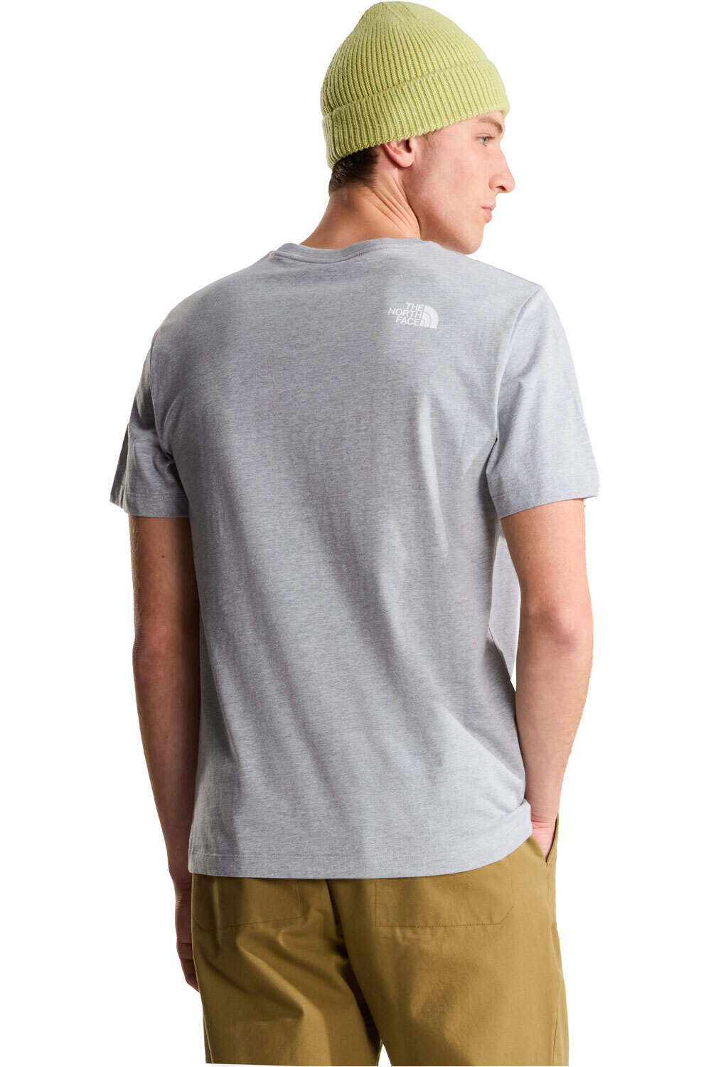 The North Face camiseta manga corta hombre EVOLUTION HALF DOME GRIS vista trasera