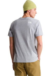 The North Face camiseta manga corta hombre EVOLUTION HALF DOME GRIS vista trasera