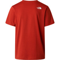 The North Face camiseta manga corta hombre EVOLUTION HALF DOME MARRON 03