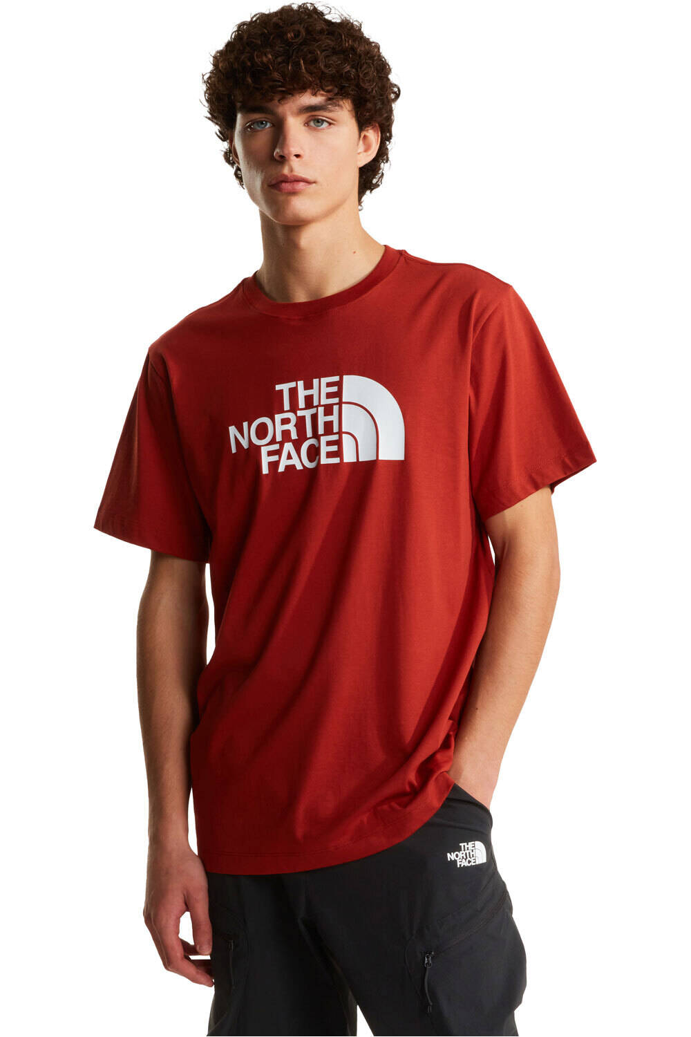 The North Face camiseta manga corta hombre EVOLUTION HALF DOME MARRON vista frontal