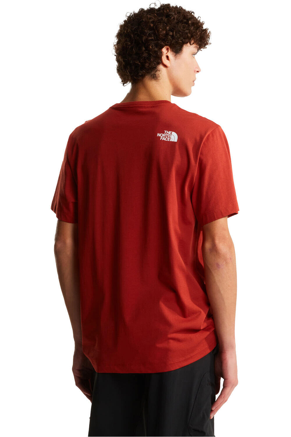 The North Face camiseta manga corta hombre EVOLUTION HALF DOME MARRON vista trasera
