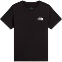 The North Face camiseta manga corta niño EVOLUTION BOX NSE GRIS vista frontal