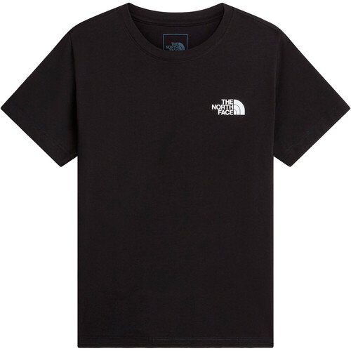 THE NORTH FACE EVOLUTION BOX NSE gris