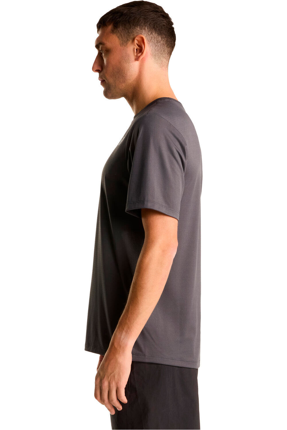 The North Face camiseta montaña manga corta hombre 24/7 GRIS vista detalle