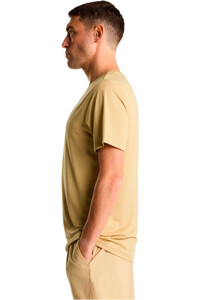 The North Face camiseta montaña manga corta hombre 24/7 MARRON vista detalle
