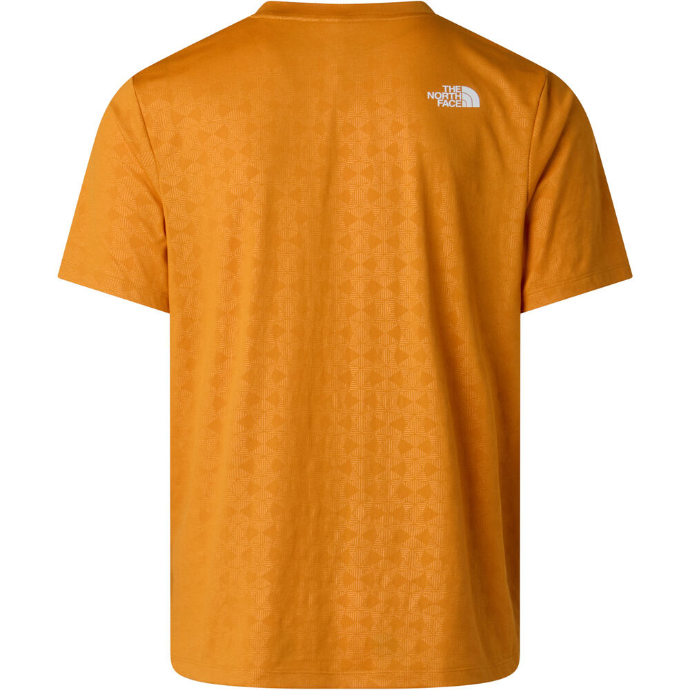 The North Face camiseta montaña manga corta hombre 24/7 PENTADOME EMBOSSED REG NARANJA vista trasera