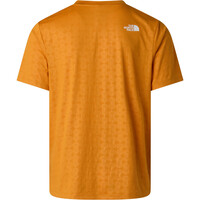The North Face camiseta montaña manga corta hombre 24/7 PENTADOME EMBOSSED REG NARANJA vista trasera