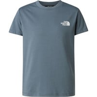 The North Face camiseta montaña manga corta niño BOX NSE GRIS vista detalle