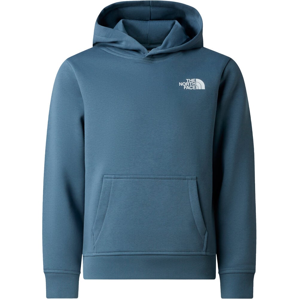 The North Face camiseta montaña manga larga niño TEEN BOX NSE GRIS 03