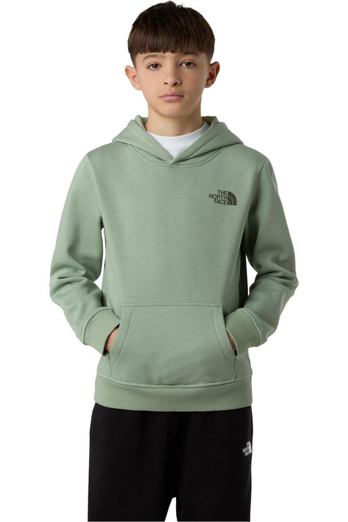 THE NORTH FACE TEEN BOX NSE REGULAR verde
