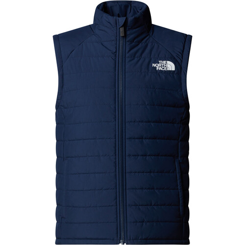 THE NORTH FACE NEVER STOP SYNTHETIC azul