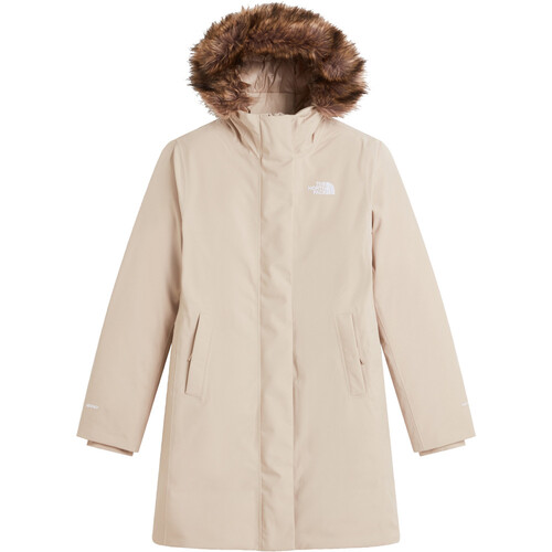 THE NORTH FACE ARCTIC marron