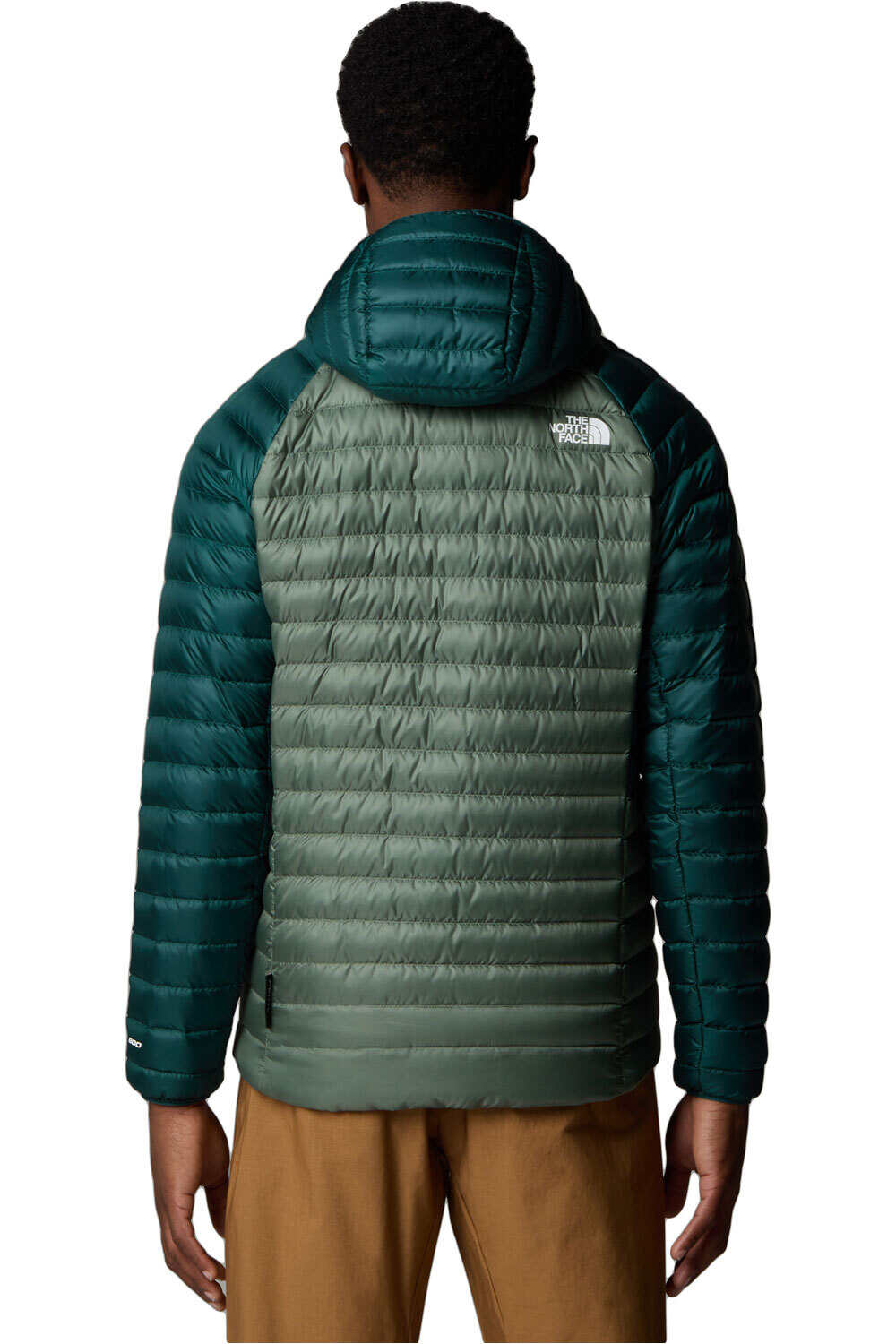The North Face chaqueta outdoor hombre BETTAFORCA VERDE vista trasera