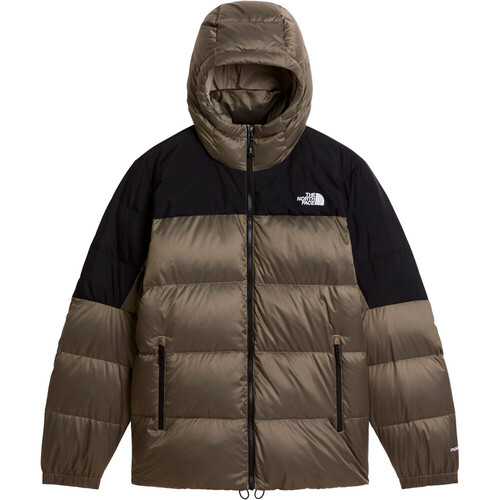 THE NORTH FACE DIABLO DOWN 2.0 gris