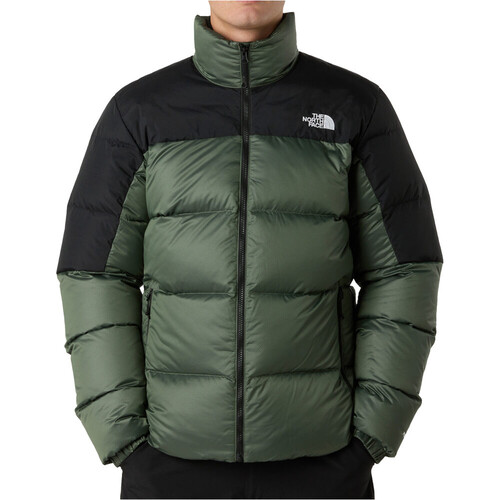 THE NORTH FACE DIABLO DOWN 2.0 verde