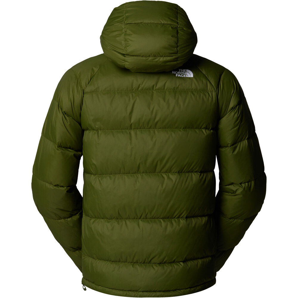 The North Face chaqueta outdoor hombre HYDRENALITE VERDE 04