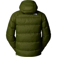 The North Face chaqueta outdoor hombre HYDRENALITE VERDE 04