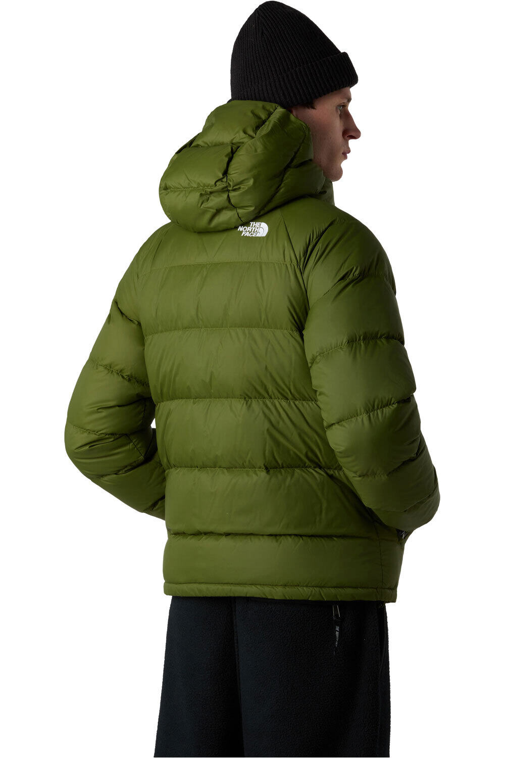 The North Face chaqueta outdoor hombre HYDRENALITE VERDE vista trasera