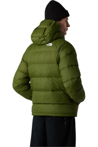The North Face chaqueta outdoor hombre HYDRENALITE VERDE vista trasera