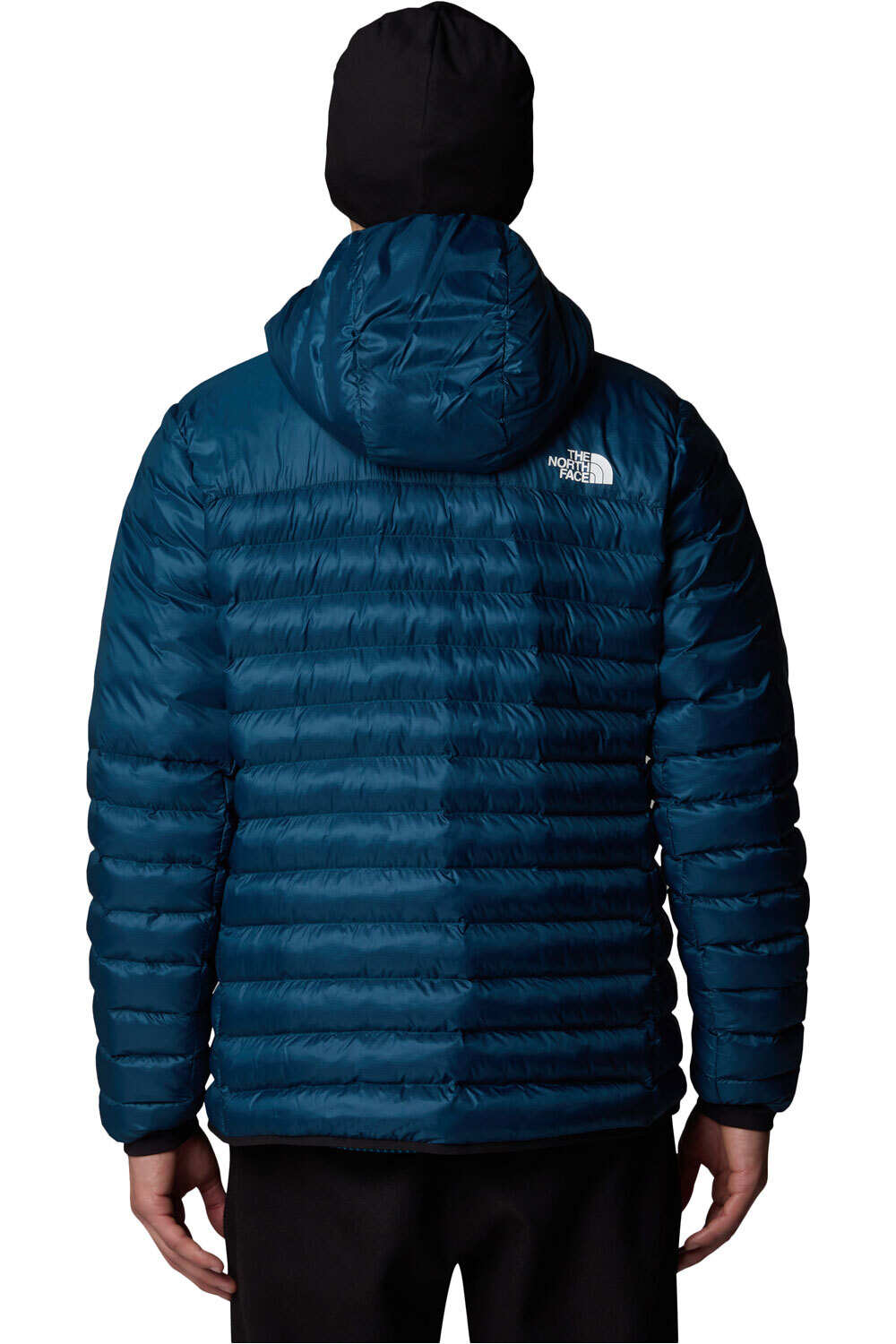 The North Face chaqueta outdoor hombre TERRA PEAK AZUL vista trasera