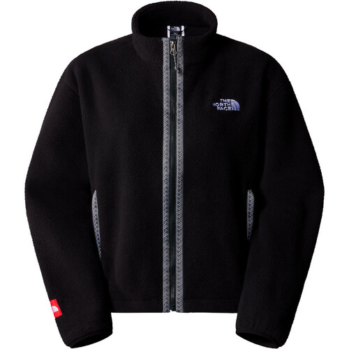 THE NORTH FACE FLEESKI marron