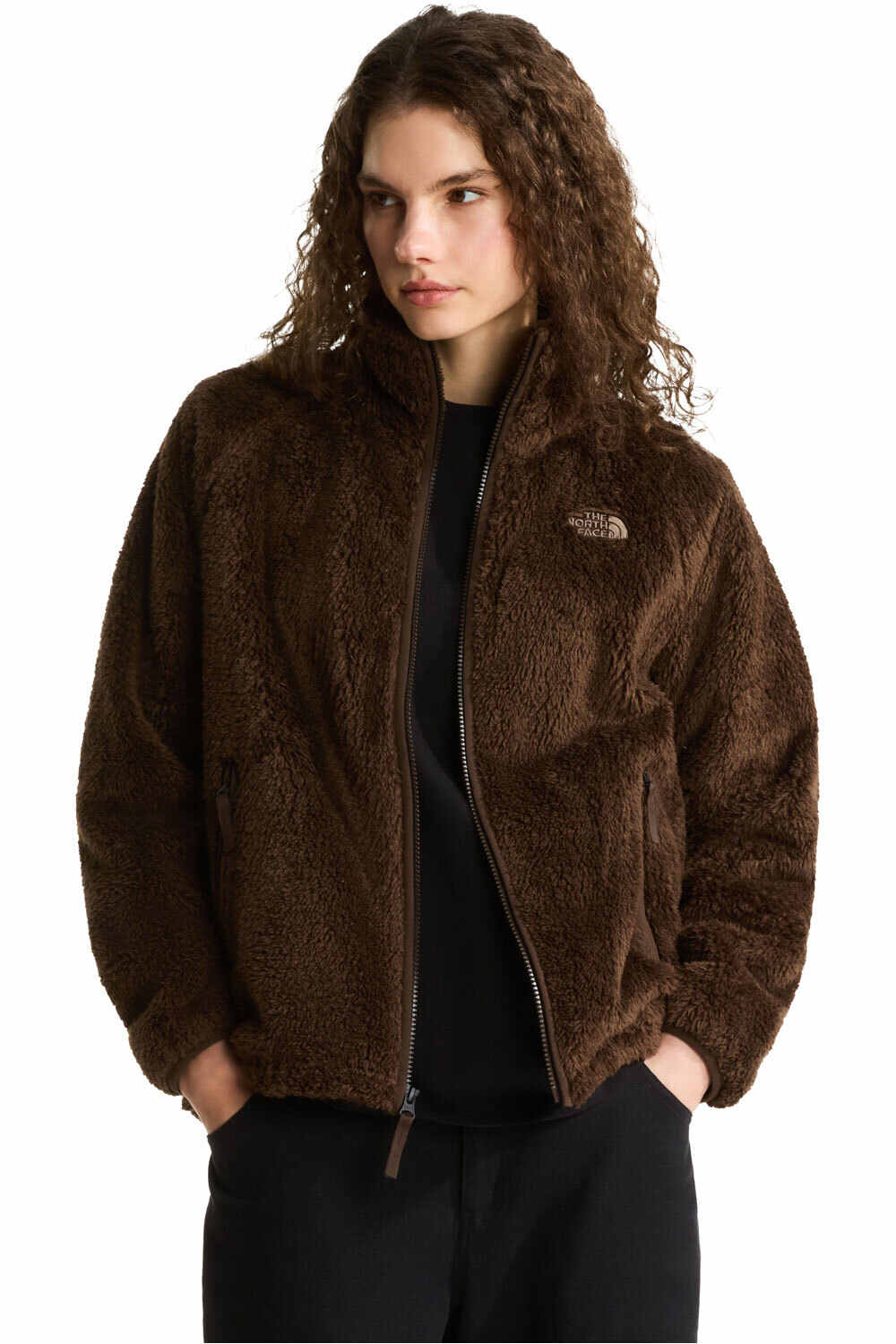 The North Face forro polar mujer W OSITO EVOLVE FULL ZIP JACKET MARRON vista detalle
