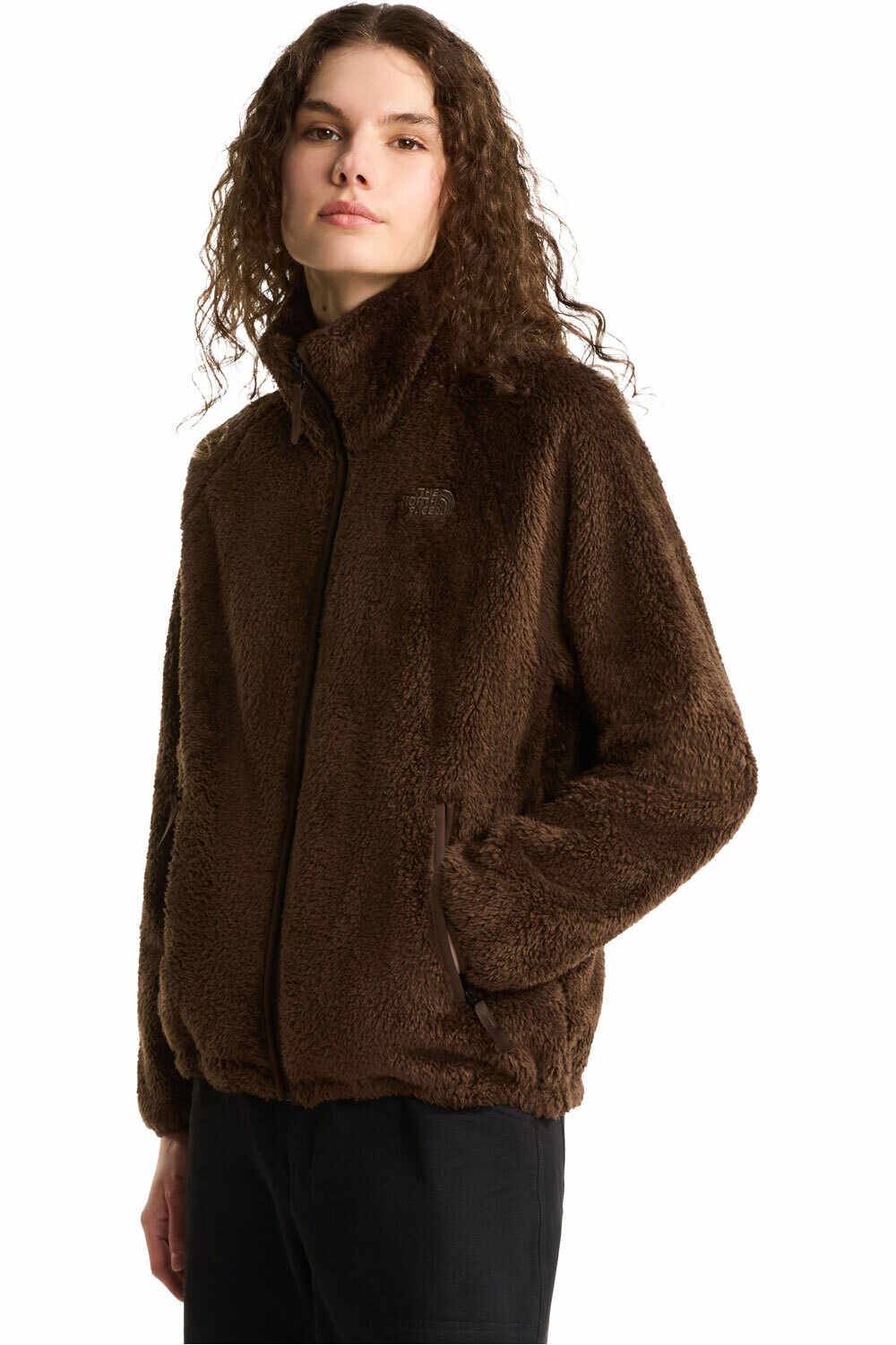 The North Face forro polar mujer W OSITO EVOLVE FULL ZIP JACKET MARRON vista frontal