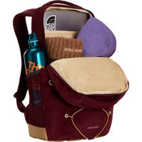 The North Face mochila montaña JESTER PRO MORADO 04