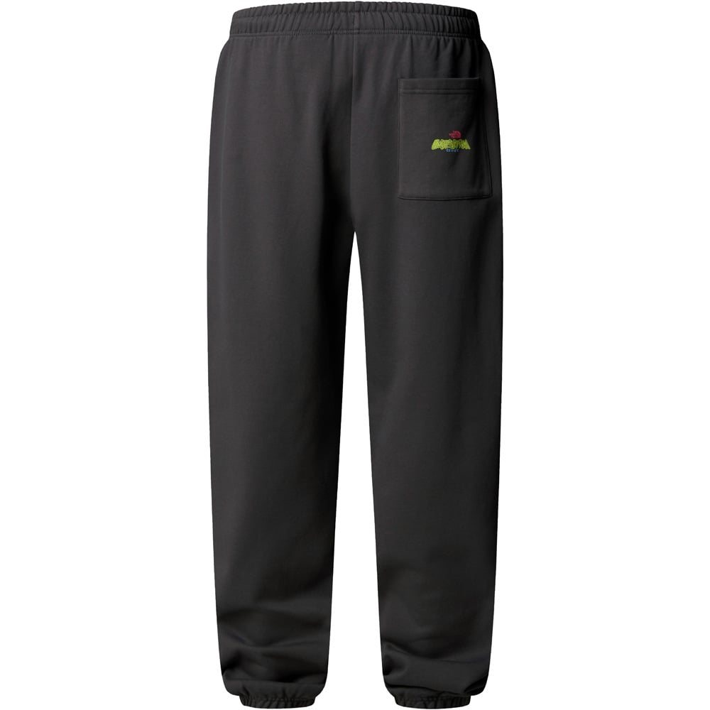 The North Face pantalón hombre EXPEDITION CELEBRATION RELAXED GRIS 03