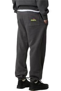 The North Face pantalón hombre EXPEDITION CELEBRATION RELAXED GRIS vista trasera