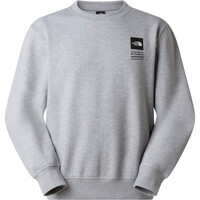The North Face sudadera hombre CELEBRATION GRIS vista detalle