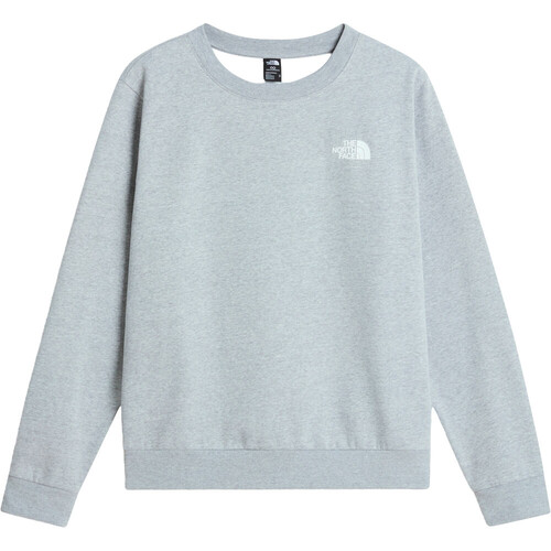 THE NORTH FACE EVOLUTION BOX NSE gris