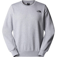 The North Face sudadera hombre SIMPLE DOME GRIS vista frontal