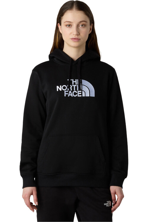 THE NORTH FACE DREW PEAK marron