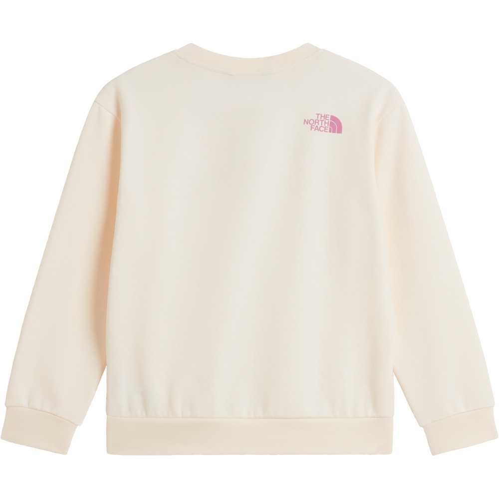The North Face sudadera niña TEEN G CHALBI RELAXED CREW - GRAPHIC BLANCO 03