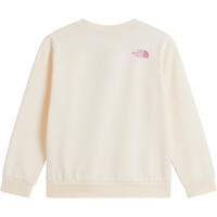 The North Face sudadera niña TEEN G CHALBI RELAXED CREW - GRAPHIC BLANCO 03