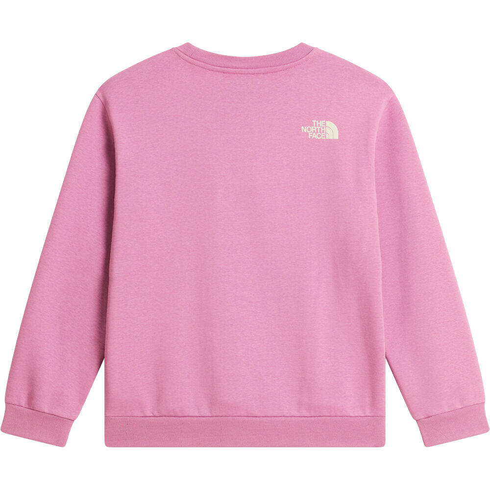 The North Face sudadera niña TEEN G CHALBI RELAXED CREW - GRAPHIC MORADO 03
