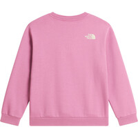 The North Face sudadera niña TEEN G CHALBI RELAXED CREW - GRAPHIC MORADO 03