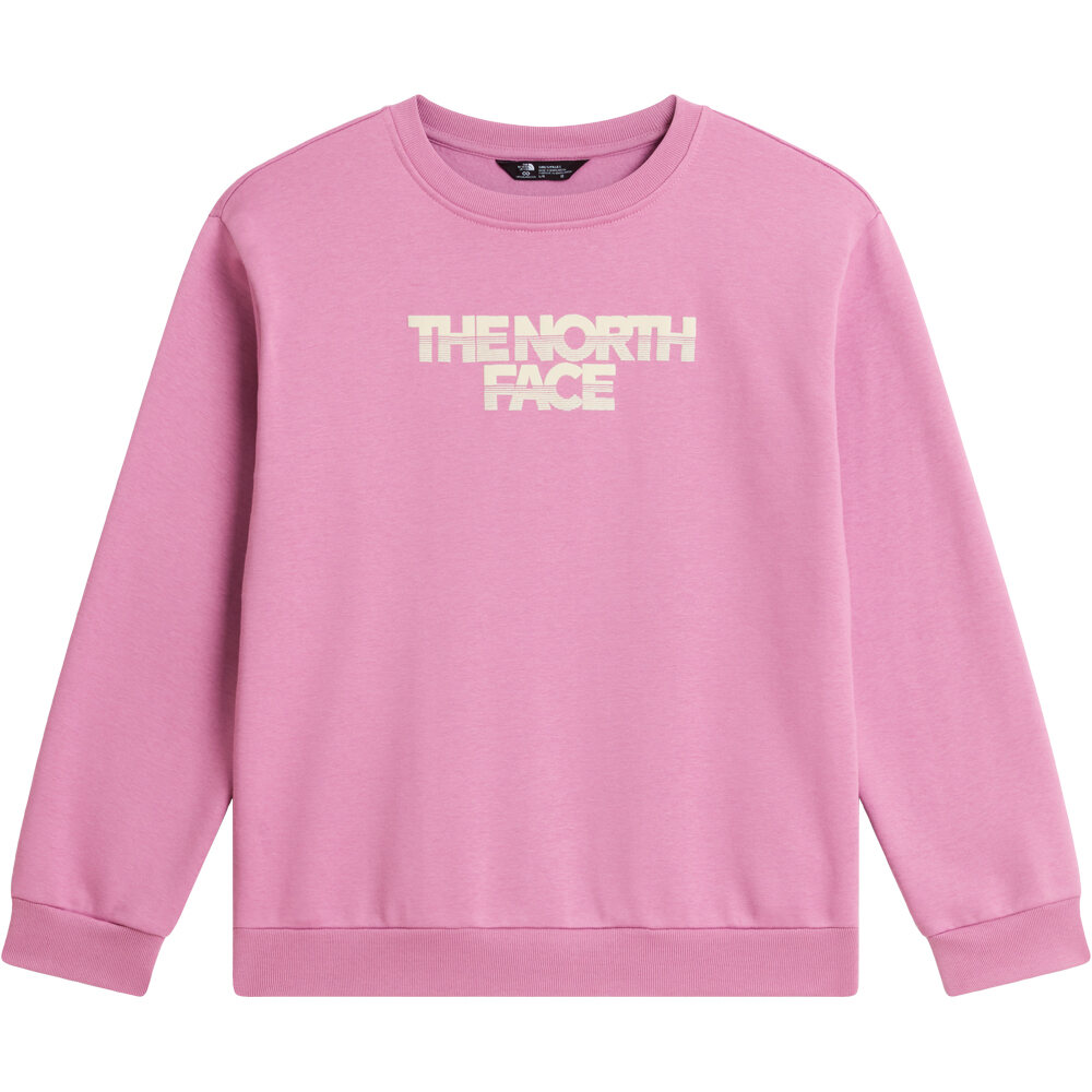 The North Face sudadera niña TEEN G CHALBI RELAXED CREW - GRAPHIC MORADO vista detalle