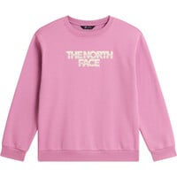 The North Face sudadera niña TEEN G CHALBI RELAXED CREW - GRAPHIC MORADO vista detalle