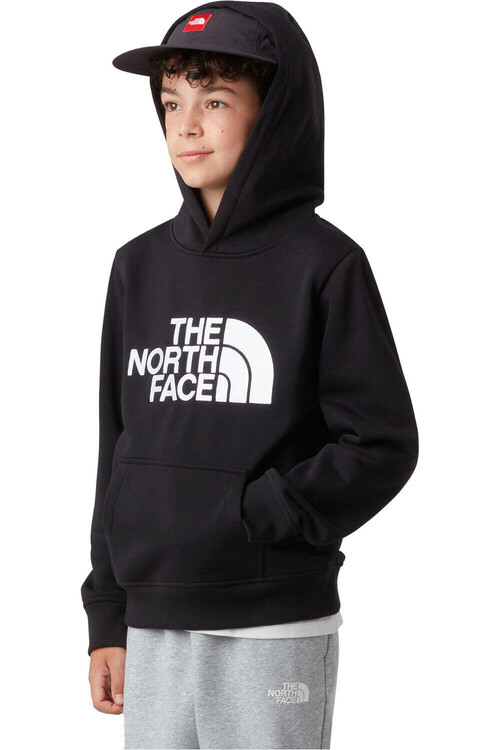 THE NORTH FACE DREW PEAK marron