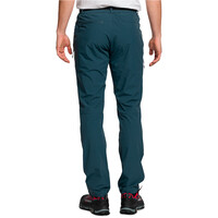 Trango pantalón montaña hombre LOMES GRIS vista trasera