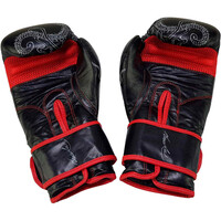 Tunturi guantes boxeo BRUCE LEE DRAGON BOXING GLOVES 14OZ  01