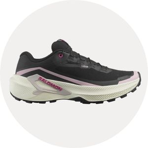 Nike Pegasus 42
